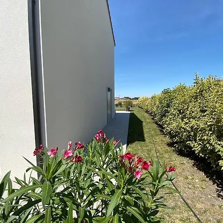 Au Coeur Des Volcans Et Lacs D'auvergne * Saint-Beauzire (Puy-de-Dome)